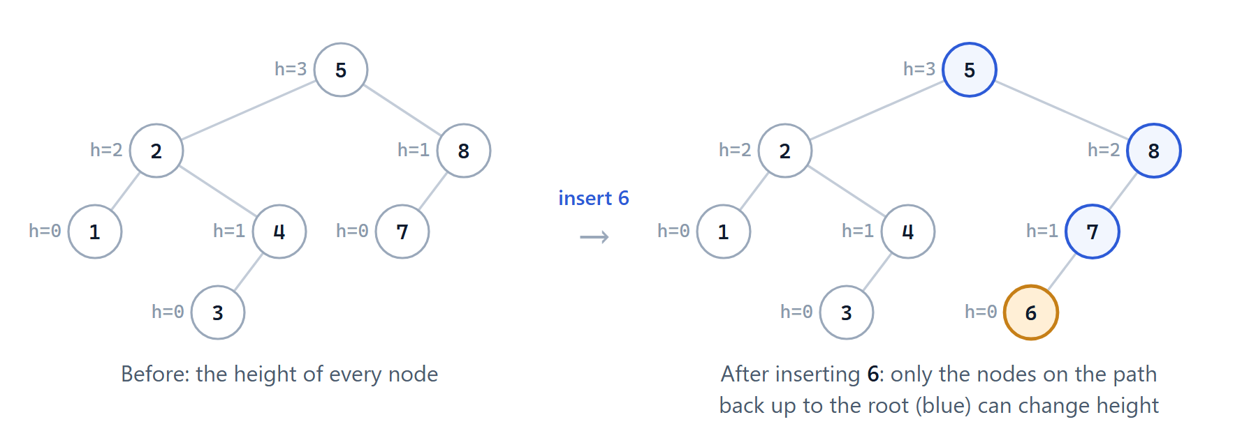 Inserting 6 can only change the heights of the nodes on the path from 6 back up to the root: 7, 8 and 5. Here 7 and 8 each grow by one, while 5 stays at height 3 because its left subtree was already that tall. Every other node keeps its height, so it keeps its balance too.