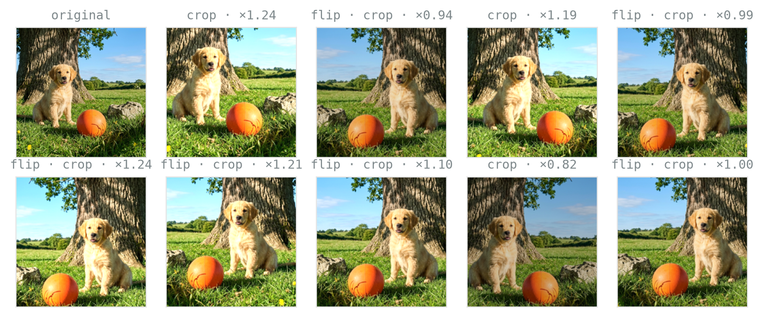A grid of ten photographs: the original crop of the dog and ball, then nine variants that are mirrored, cropped at shifted positions, and brightened or darkened by varying amounts.