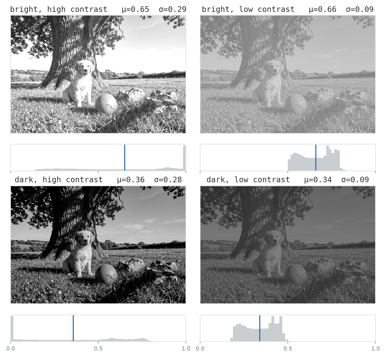 A two-by-two grid of grayscale versions of the dog-and-tree scene, each with a small histogram below it. Top left: bright and high contrast, histogram wide and centred right with a spike at white. Top right: bright and low contrast, a pale washed-out image with a narrow histogram on the right. Bottom left: dark and high contrast, histogram wide and centred left with a spike at black. Bottom right: dark and low contrast, a murky image with a narrow histogram on the left.