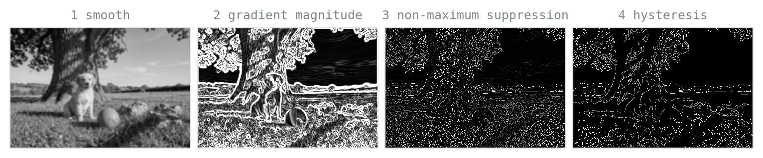 Four panels: a blurred grayscale scene; its gradient magnitude with thick bright outlines; the thinned version after non-maximum suppression, showing one-pixel-wide curves; and the final binary edge map after hysteresis thresholding, with clean contours of the tree, dog, ball, and horizon.