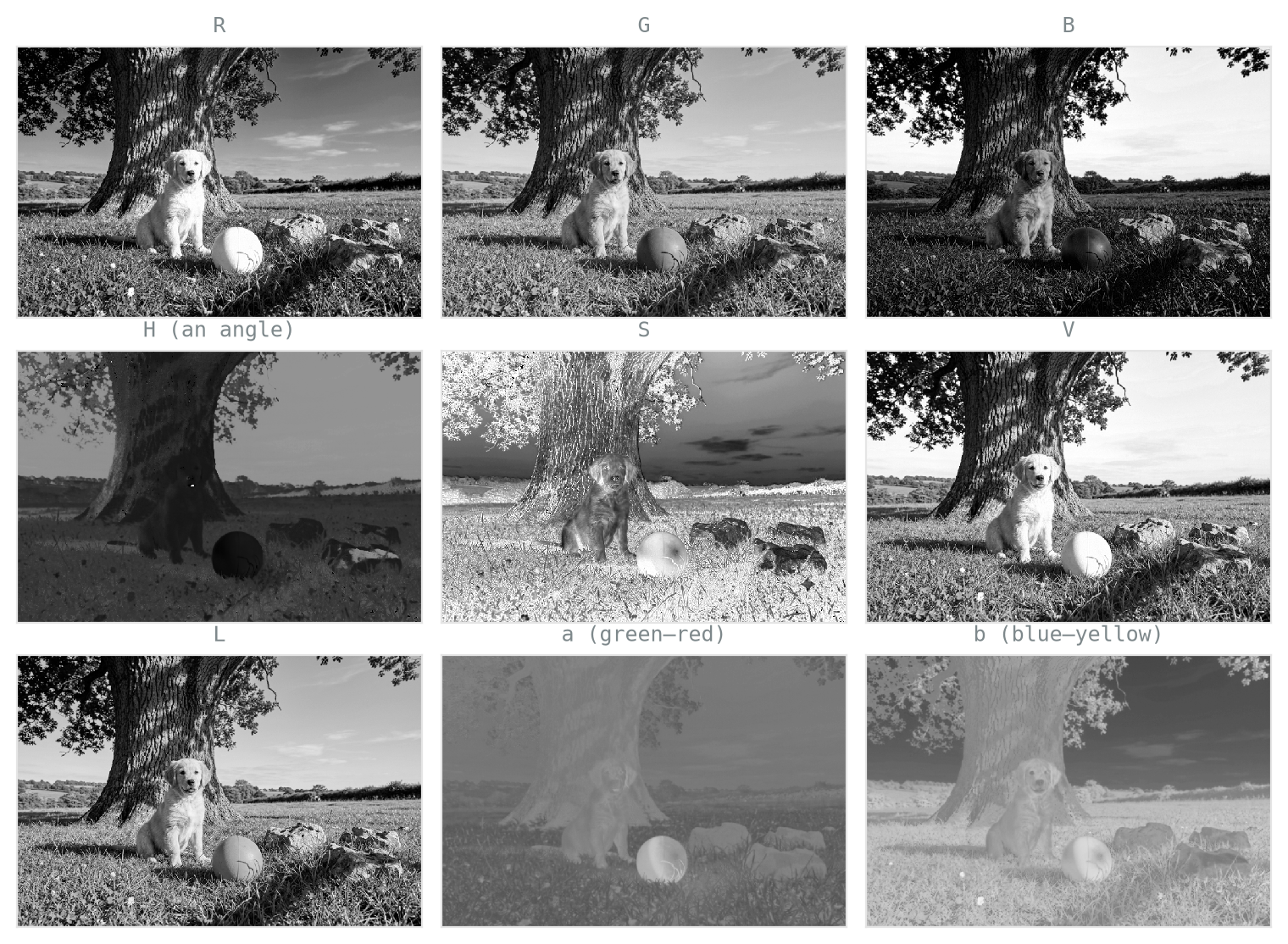 A three-by-three grid of grayscale channel images of the dog-and-ball scene. Top row: the red, green, and blue channels, each resembling the full photograph. Middle row: hue, saturation, and value; the orange ball appears as a single flat tone in the hue channel. Bottom row: Lab lightness carrying most detail, with the a and b opponent-colour channels smooth and low in detail.