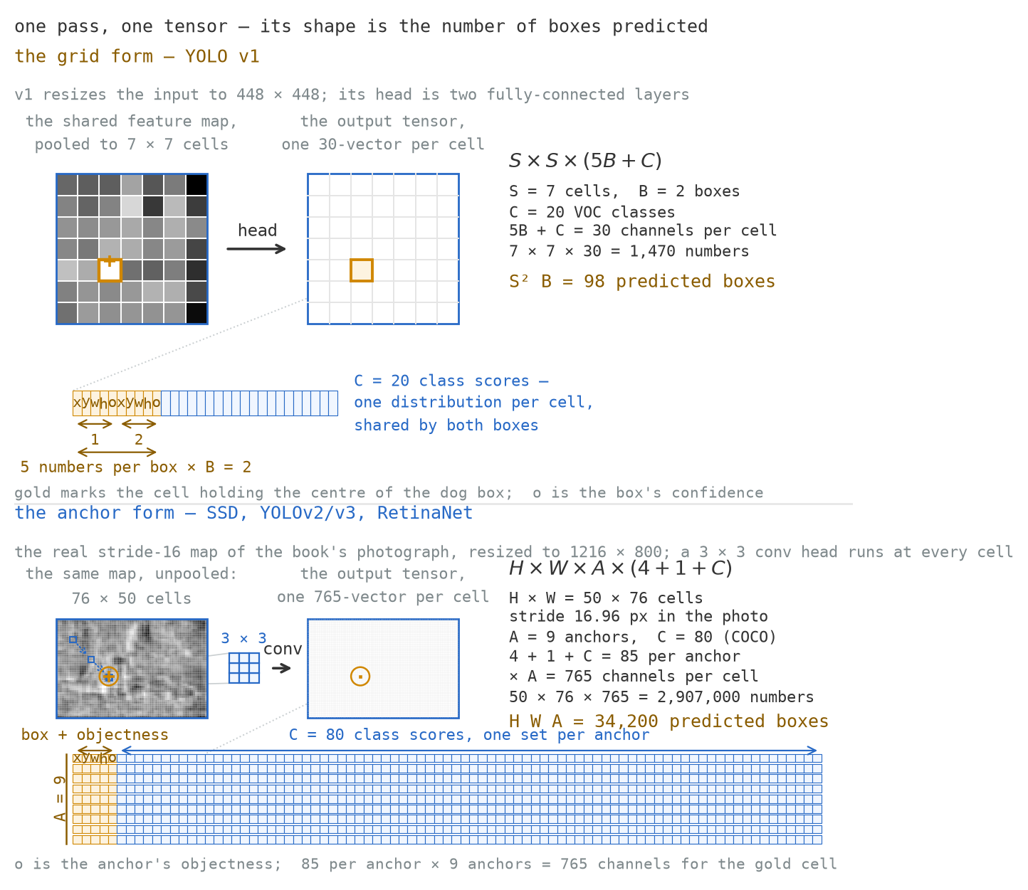 Two stacked panels. The upper one shows a seven by seven grid of grey cells with an arrow labelled head to an empty seven by seven output grid, one cell outlined in gold in each, and below them a long strip of thirty cells, ten gold in two blocks of five and twenty blue, annotated five numbers per box times B equals two and twenty class scores. The lower panel shows a grey feature map of the photograph labelled fifty by seventy-six cells, a small three by three kernel labelled conv, an output grid with one cell marked, and below them a wide block nine rows deep, each row five gold cells followed by eighty blue ones, annotated eighty-five per anchor times nine anchors equals seven hundred and sixty-five channels.