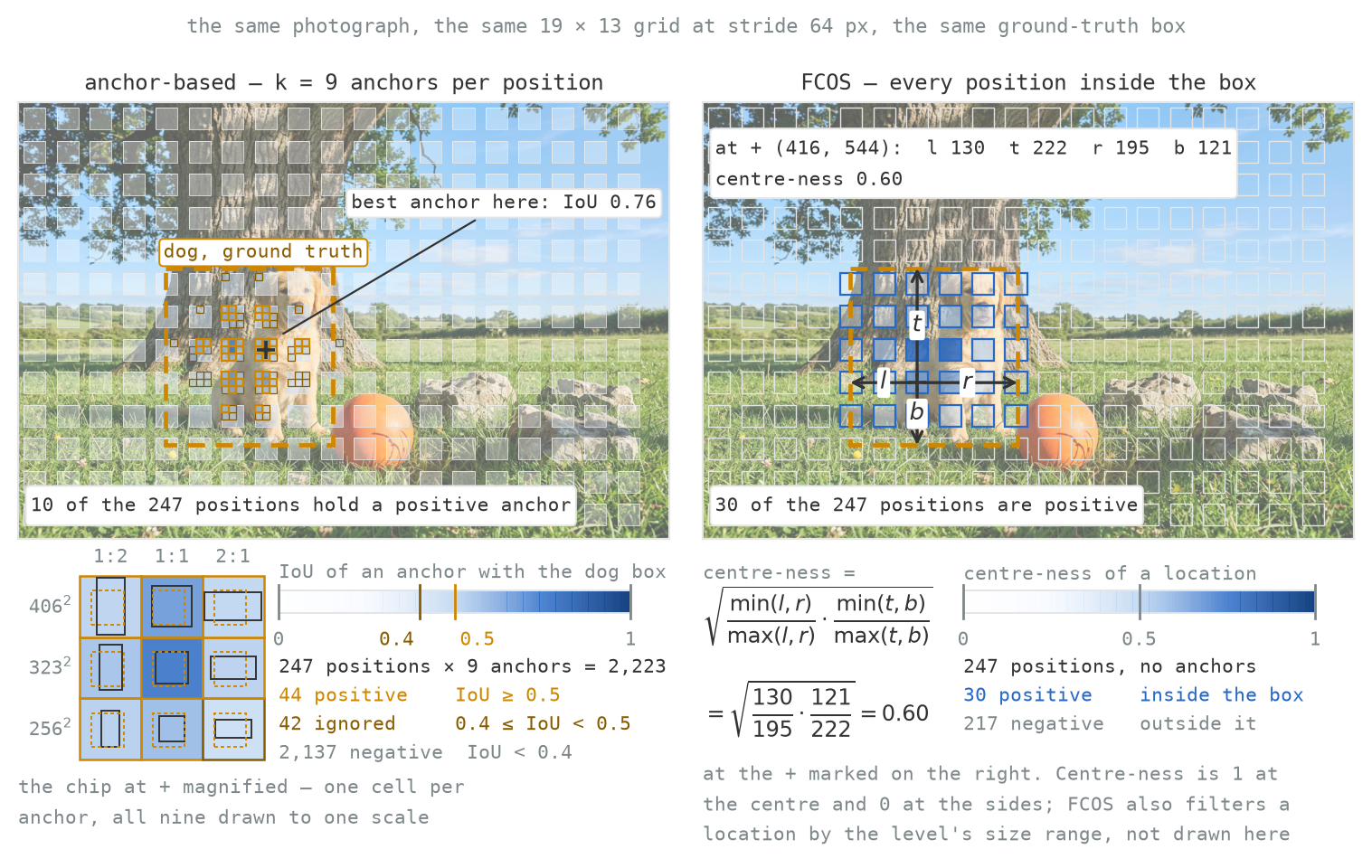 Two copies of the same photograph of a dog, each with a gold dashed rectangle around the dog. The left copy has a regular grid of small anchor rectangles washed from white to blue according to their overlap with the box, the strongest few outlined in gold. The right copy has every grid cell inside the box washed the same way by its centre-ness, deepest at the middle of the box and faintest at its edges, with four arrows from one cell to the box's left, top, right and bottom edges labelled l, t, r and b. Below each photograph is a key: a white-to-blue ramp with the thresholds marked, and counts of positive, ignored and negative.