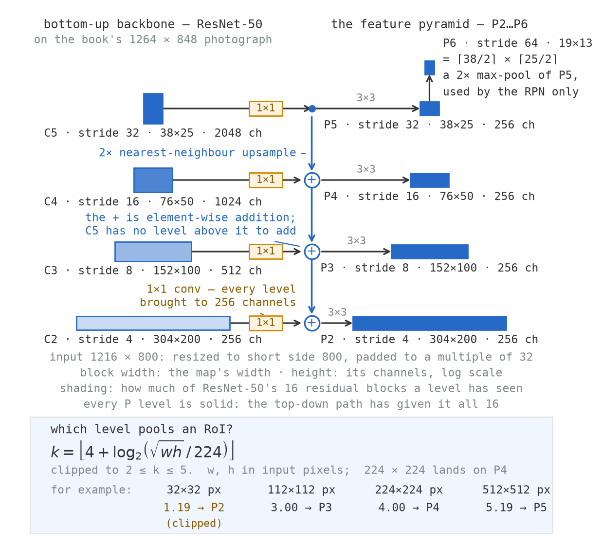 A two-column diagram. The left column has four blocks labelled C2 to C5 with strides 4, 8, 16 and 32 and channel counts 256, 512, 1024 and 2048, narrowing and darkening upward. Horizontal arrows through small gold boxes labelled 1 by 1 lead to circled plus signs in the right column, which also receive downward blue arrows labelled 2 times nearest-neighbour upsample. Each sum passes through a 3 by 3 convolution to a block labelled P2 to P5, and a small block P6 sits above P5 fed by an arrow labelled a 2× max-pool of P5, used by the RPN only. A panel at the foot prints the level-assignment formula and four worked examples.