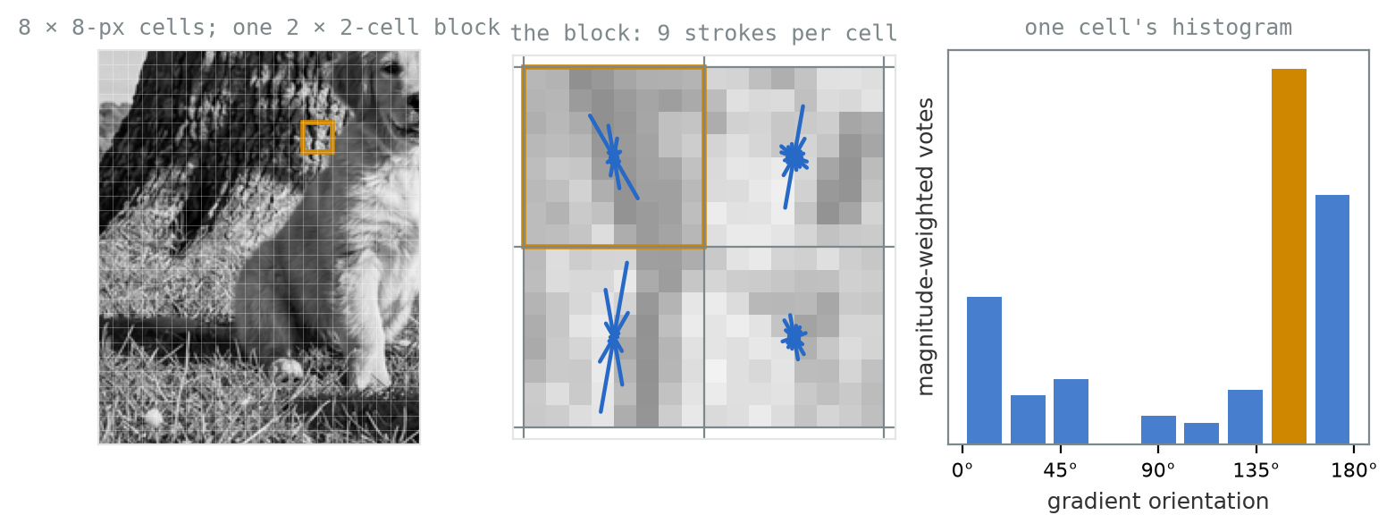 Three panels. Left: a grayscale crop of the trunk and dog overlaid with a fine cell grid and a small gold box marking one block on the trunk's edge. Middle: the block enlarged, four cells separated by grey lines, each containing a star of blue strokes whose longest stroke follows the dark diagonal band through the block; the top-left cell is outlined in gold. Right: a bar chart of nine bins from 0 to 180 degrees, with the dominant bin near 150 degrees drawn in gold.