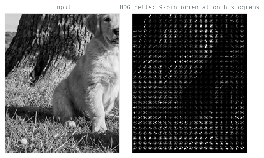 Two panels: a grayscale crop of the sitting dog, and its HOG visualisation, a dark field of small oriented line clusters whose directions trace the dog's outline and internal structure.