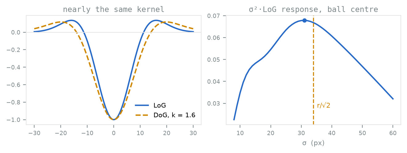 Two panels. Left: two nearly identical mexican-hat curves overlaid, a solid blue Laplacian of Gaussian and a dashed gold Difference of Gaussians, both dipping to minus one at the centre with small positive side lobes. Right: a response curve rising to a single peak at sigma equal to 31 pixels, with a dashed vertical line at the predicted 34 pixels.