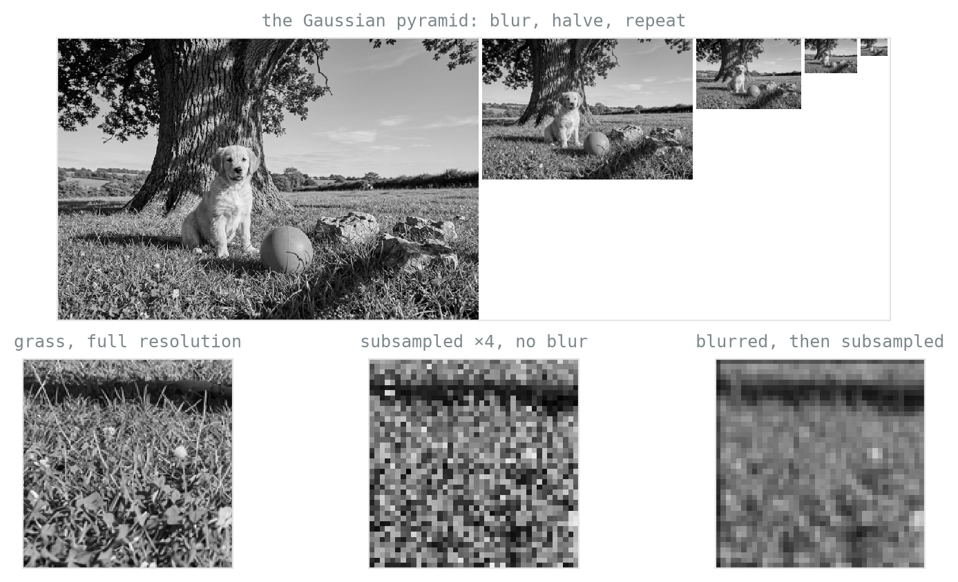 Top: five versions of the scene at halving sizes arranged in a row, each softer and smaller. Bottom row: a grass crop at full resolution; the same subsampled by four without blurring, showing blocky false patterns; and the blurred-then-subsampled version, smooth and soft.