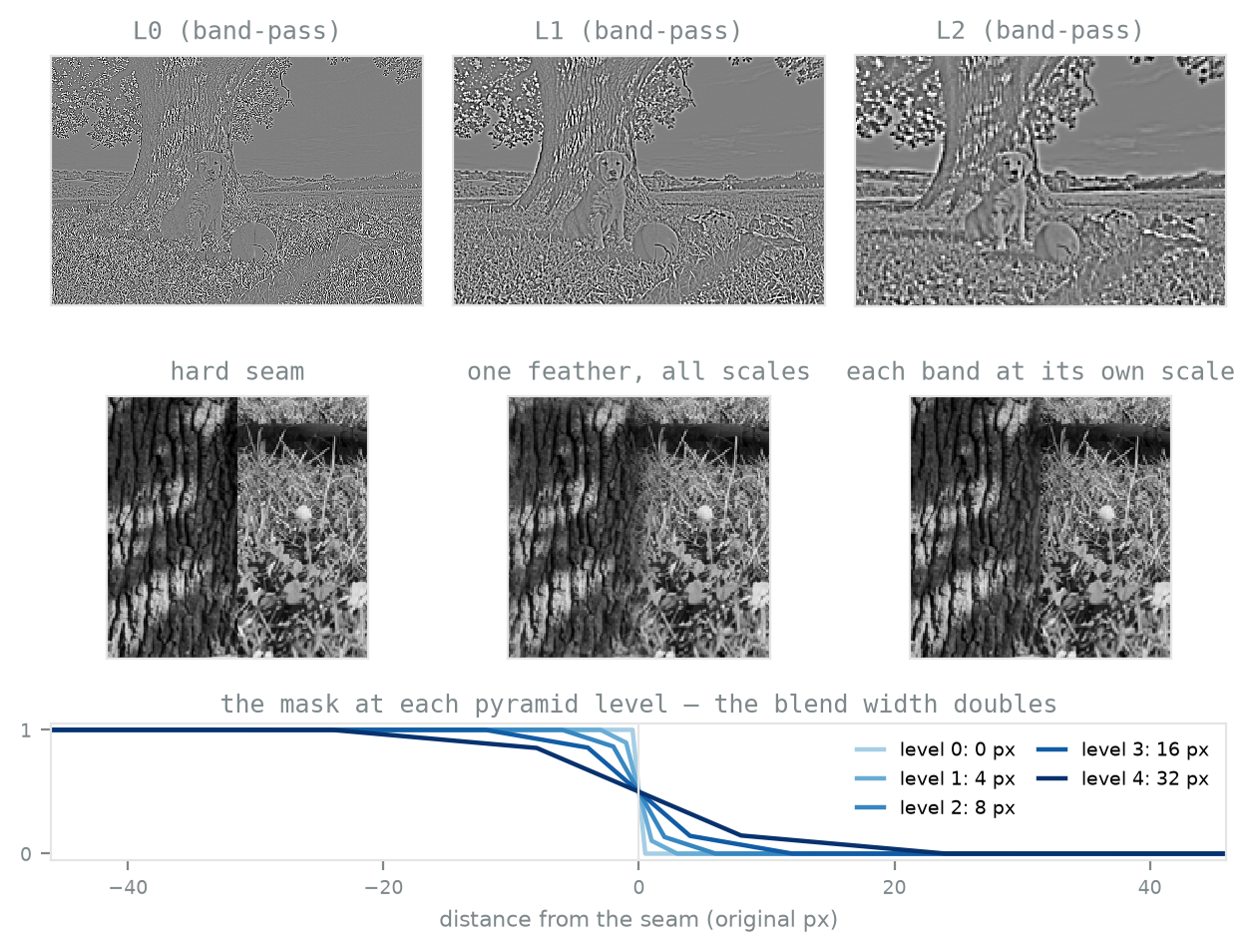 Top row: three band-pass images of the scene at increasing coarseness, rendered around mid-grey with detail as light and dark deviations. Bottom row: three square images joining bark texture on the left to grass on the right — one with an abrupt vertical seam, one feathered with a single soft mask showing the two textures superimposed across a wide band, and one blended per pyramid level with no visible join. Below them, a wide plot of five mask profiles fanning out from a common seam: a vertical step, then ramps of width four, eight, sixteen, and thirty-two pixels.