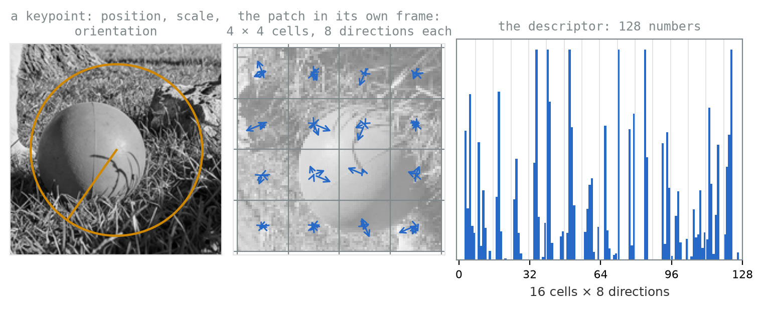 Three panels. Left: a grayscale crop of the ball in the grass with a gold circle at the keypoint's scale and a radial line showing its orientation. Middle: the same region resampled so the orientation line is the patch's own axis, divided into a four-by-four grid of cells, each containing up to eight blue arrows of varying length pointing in different directions. Right: a bar chart of 128 values in sixteen groups of eight, separated by faint vertical lines.