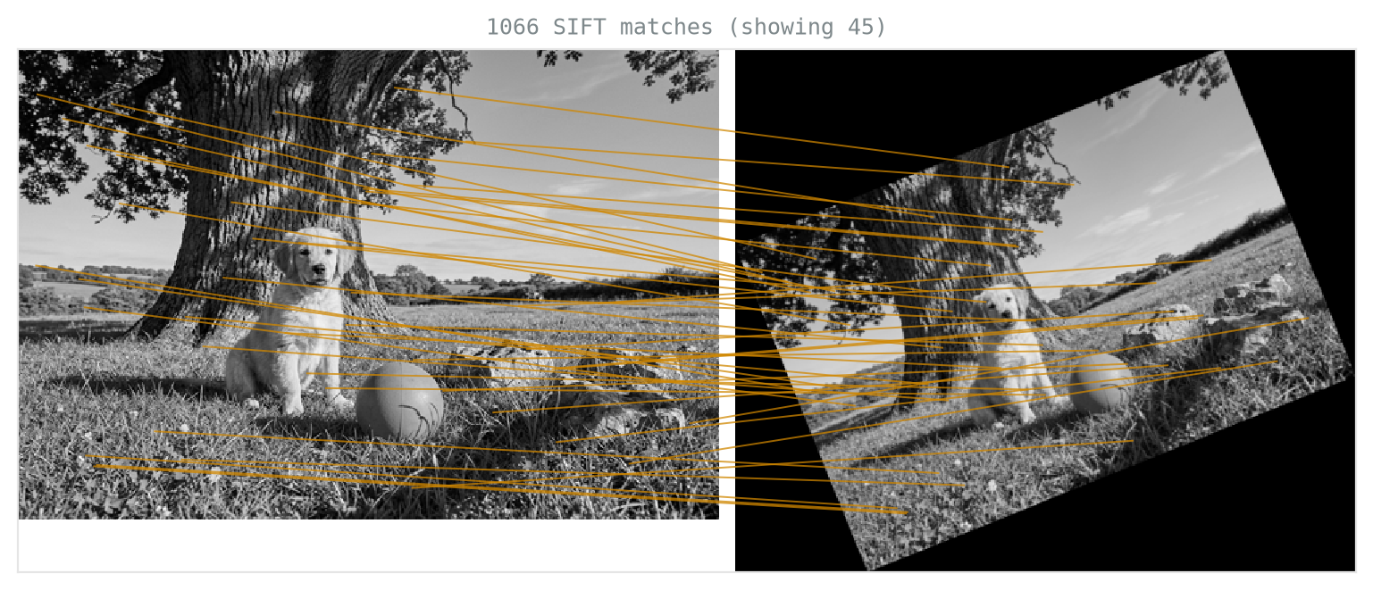 Two grayscale versions of the scene side by side, the right one rotated and smaller, with several dozen thin lines connecting corresponding points between them, flowing consistently with the rotation.
