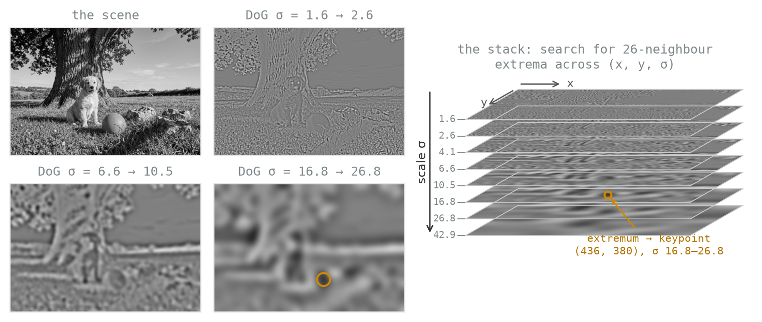 Five panels. Left, a two-by-two grid: the grayscale scene, then its difference-of-Gaussians response at three increasing blurs, fine edge detail giving way to broad blobs; the coarsest panel carries a gold circle around a dark blob at the ball. Right: eight such responses drawn as flat sheets stacked into a slab with axes x, y, and scale sigma, sheets labelled from sigma 1.6 at the top to 42.9 at the bottom, a gold circle on the sixth sheet, and a gold annotation reading extremum to keypoint, position 436 380, sigma 16.8 to 26.8.